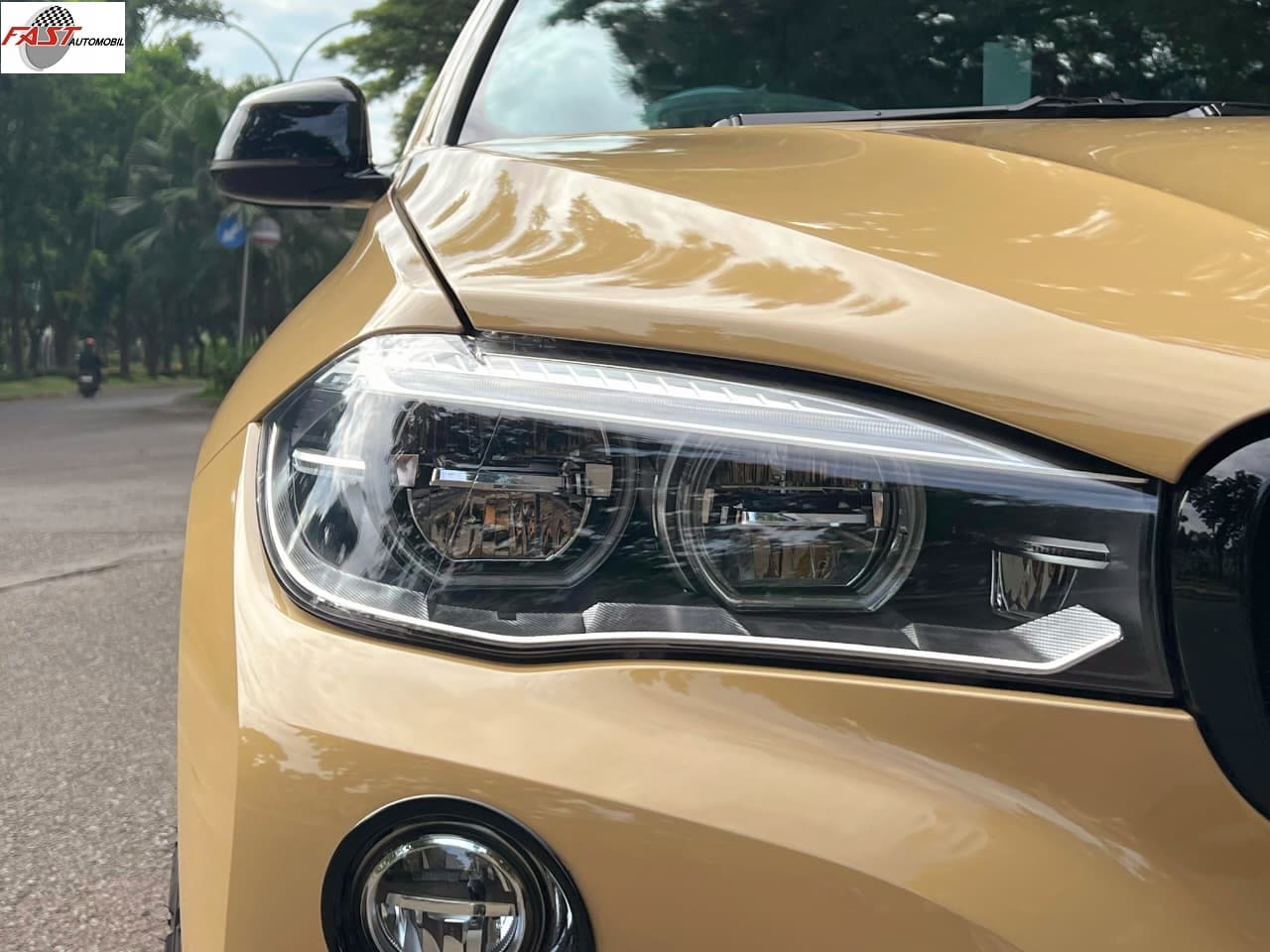 BMW X6 2015 COKMUD B 1251 WCZ 6